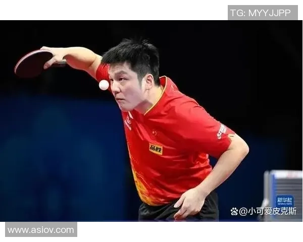 南京羽毛球队在邀请赛中以63分稳居积分榜首位展现强劲实力