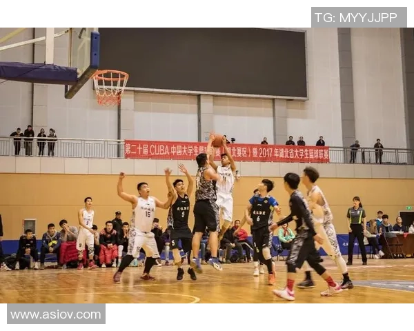 重庆篮球队荣登篮球意识排行榜第五名展现强大团队实力与战术智慧