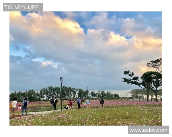 深圳羽毛球队的精神探秘与荣耀之路揭秘