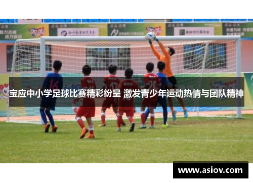 宝应中小学足球比赛精彩纷呈 激发青少年运动热情与团队精神