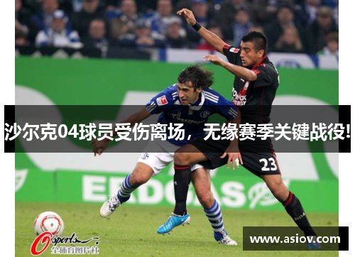 沙尔克04球员受伤离场，无缘赛季关键战役!