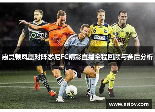惠灵顿凤凰对阵悉尼FC精彩直播全程回顾与赛后分析