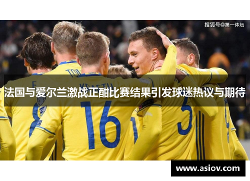 法国与爱尔兰激战正酣比赛结果引发球迷热议与期待
