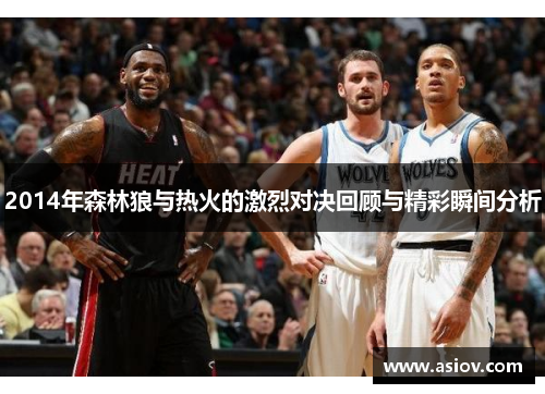 2014年森林狼与热火的激烈对决回顾与精彩瞬间分析